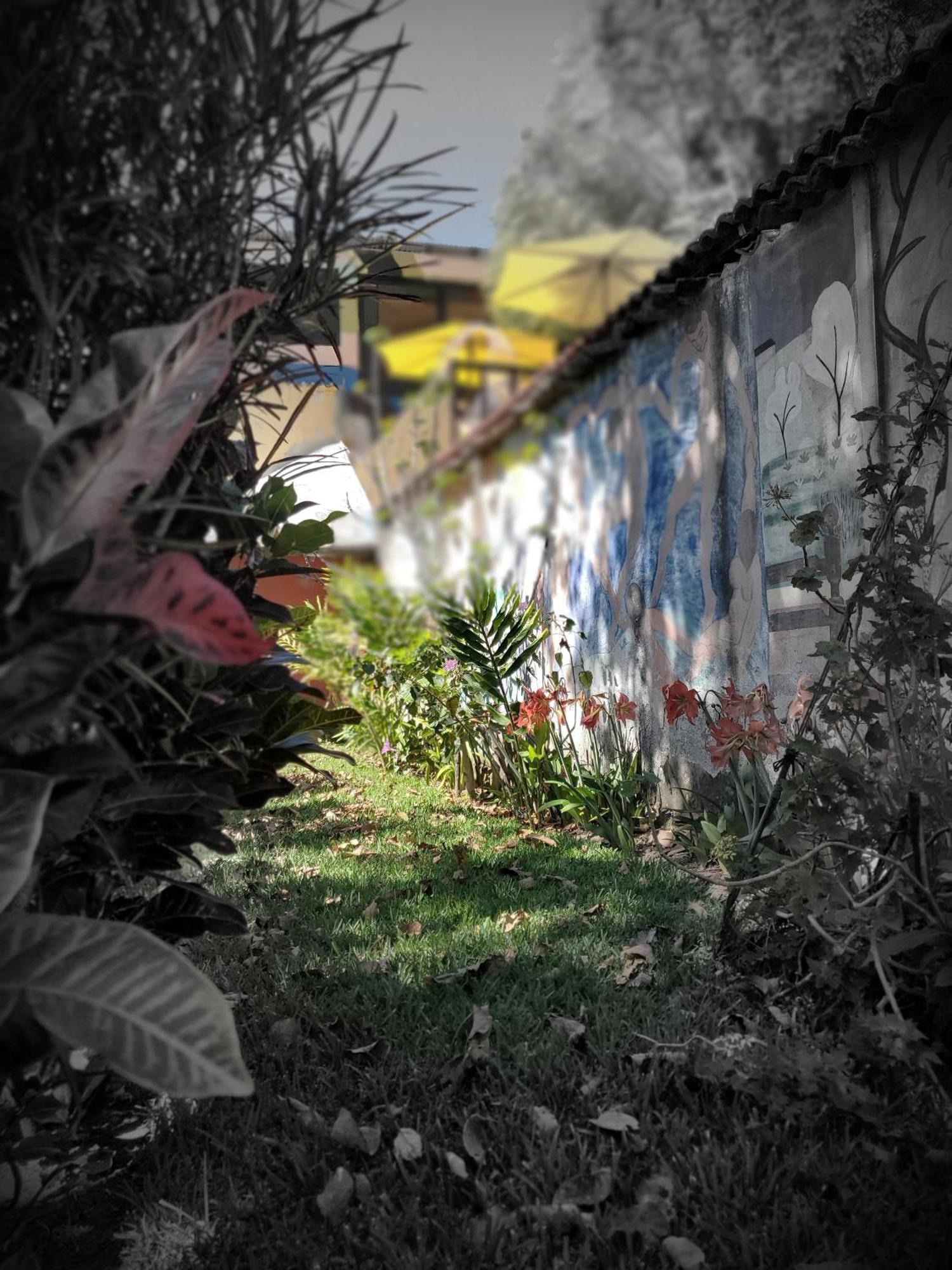 Art & Coffee Hotell Santa Cruz La Laguna Eksteriør bilde